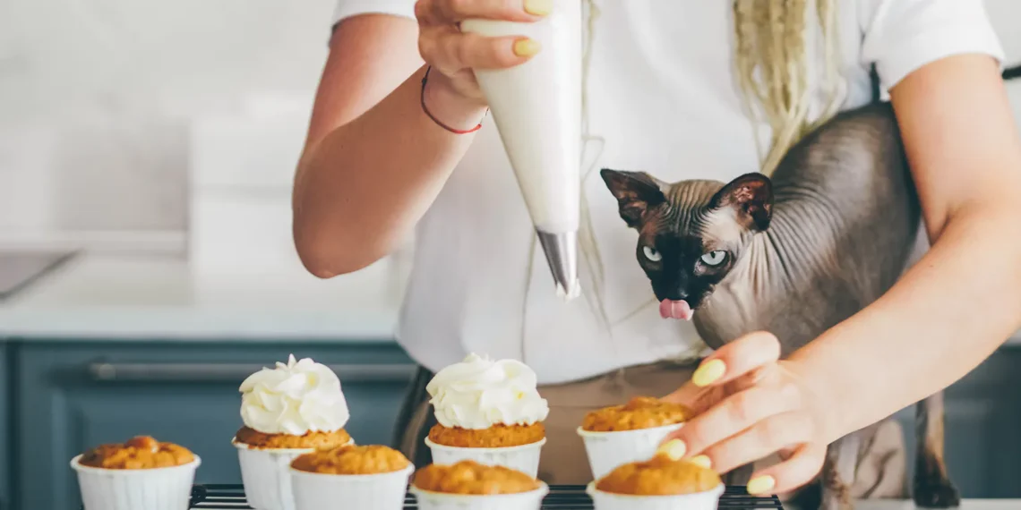 peut-on-donner-de-la-creme-aux-chats