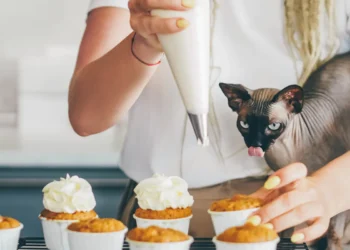 peut-on-donner-de-la-creme-aux-chats