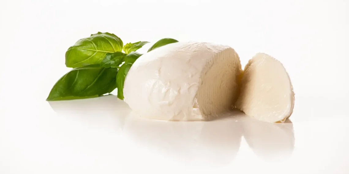 peut-on-donner-de-la-mozzarella-aux-chats