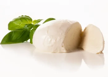 peut-on-donner-de-la-mozzarella-aux-chats