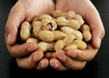 peut-on-donner-des-cacahuetes-a-un-chat