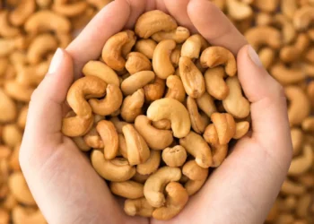 peut-on-donner-des-noix-de-cajou-aux-chats-1