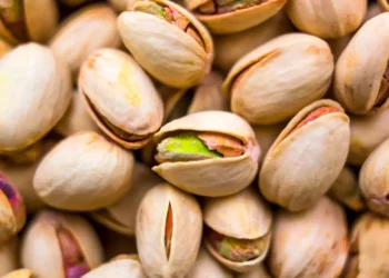 peut-on-donner-des-pistaches-aux-chats