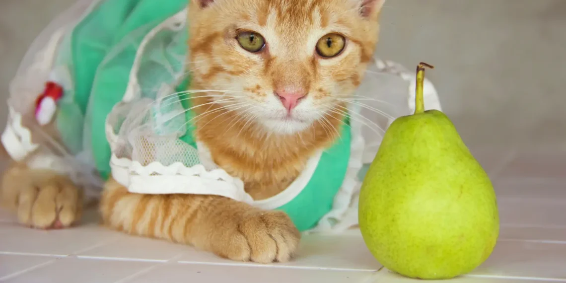 peut-on-donner-des-poires-aux-chats