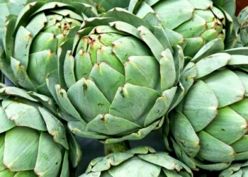 peut-on-donner-de-lartichaut-au-chat