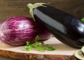 peut-on-donner-des-aubergines-au-chat