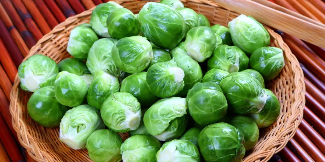 peut-on-donner-des-choux-de-bruxelles-au-chat