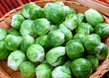 peut-on-donner-des-choux-de-bruxelles-au-chat