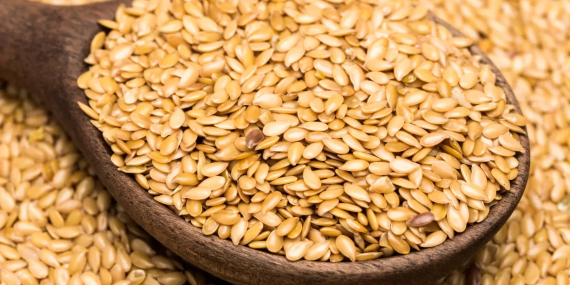 peut-on-donner-des-graines-de-lin-au-chat