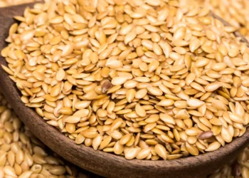 peut-on-donner-des-graines-de-lin-au-chat