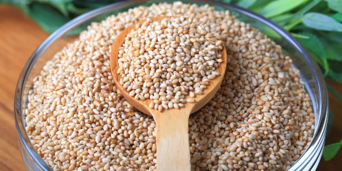 peut-on-donner-des-graines-de-sesame-au-chat