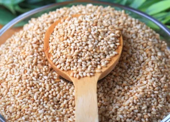 peut-on-donner-des-graines-de-sesame-au-chat