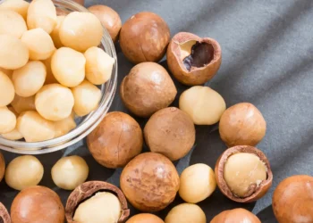 peut-on-donner-des-noix-de-macadamia-aux-chats