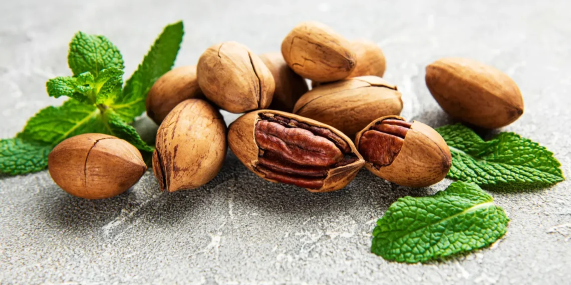 peut-on-donner-des-noix-de-pecan-aux-chats