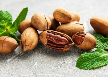 peut-on-donner-des-noix-de-pecan-aux-chats