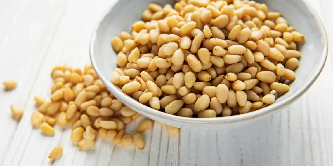 peut-on-donner-des-pignons-de-pin-aux-chats