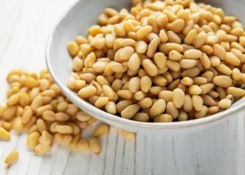 peut-on-donner-des-pignons-de-pin-aux-chats