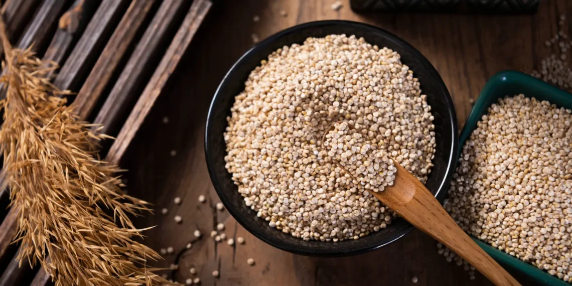 peut-on-donner-du-quinoa-au-chat