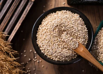 peut-on-donner-du-quinoa-au-chat