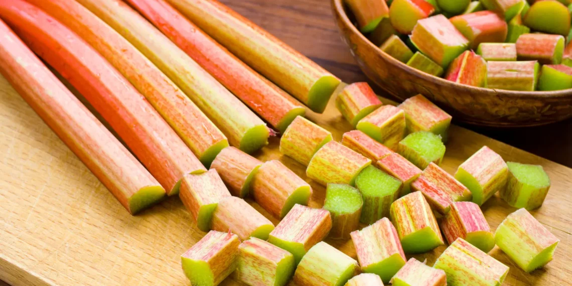 peut-on-donner-de-la-rhubarbe-aux-chats