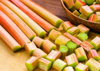 peut-on-donner-de-la-rhubarbe-aux-chats