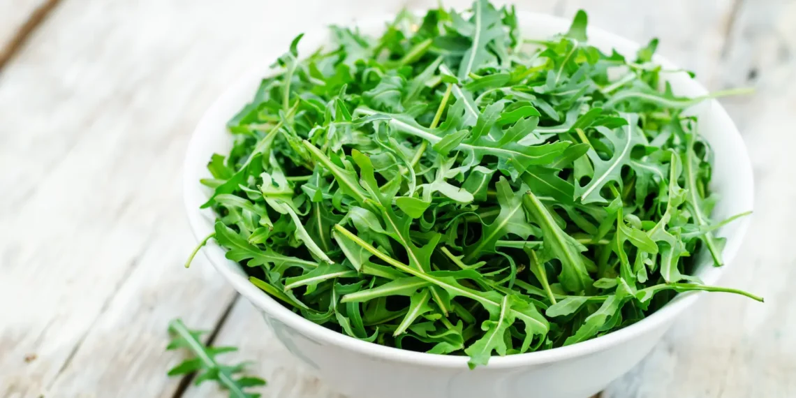 peut-on-donner-de-la-roquette-a-un-chat