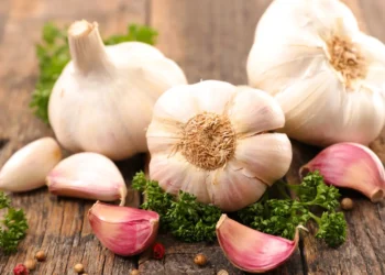 peut-on donner de l'ail à son chien