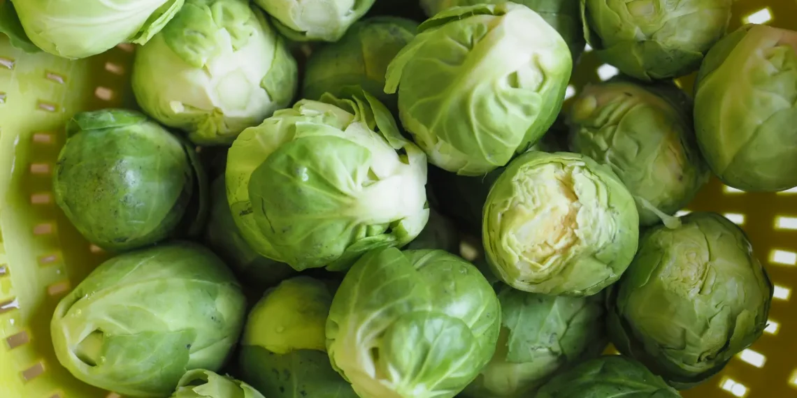 Peut-on donner des choux de Bruxelles à un chien