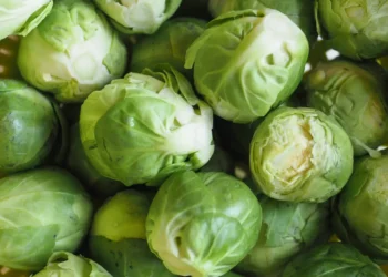 Peut-on donner des choux de Bruxelles à un chien