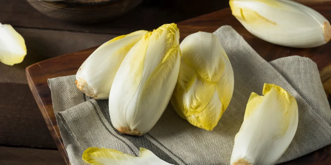 peut-on-donner-des-endives-a-son-chat