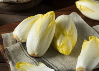 peut-on-donner-des-endives-a-son-chat