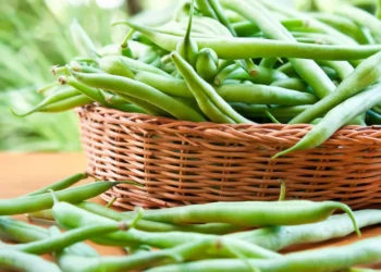 Peut on donner des haricots verts à un chat