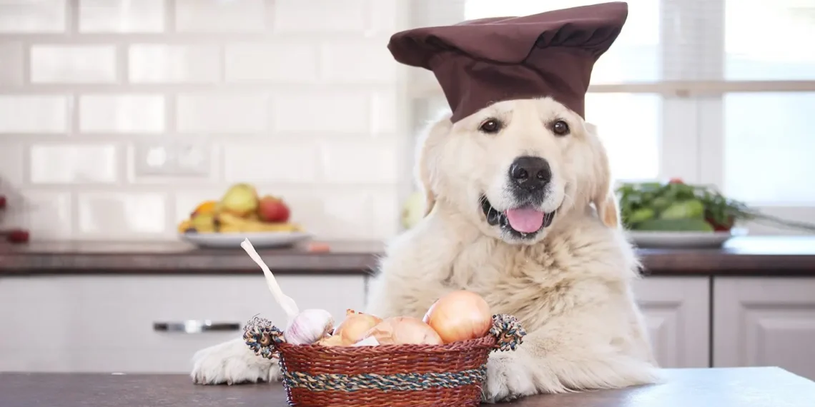Peut-on donner des oignons à son chien