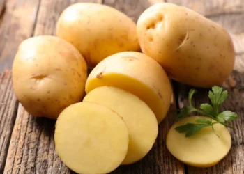 Peut-on donner des pommes de terre à un chien