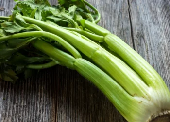 peut-on-donner-du-celeri-a-un-chat