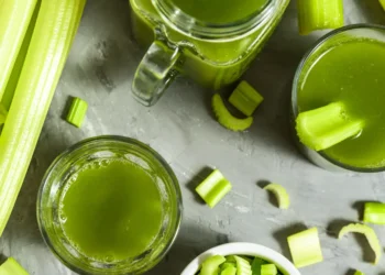 Peut-on donner du céleri à un chien