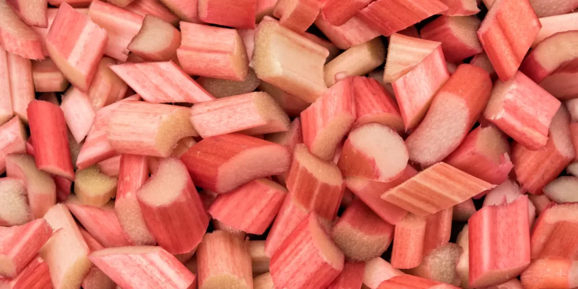 peut-on donner de la rhubarbe à un chien