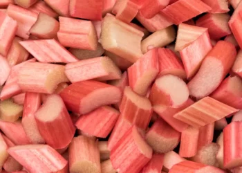 peut-on donner de la rhubarbe à un chien