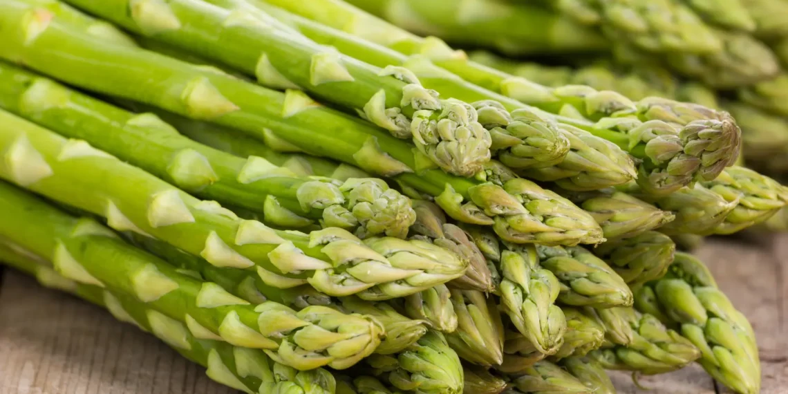 Peut-on donner des asperges à un chien