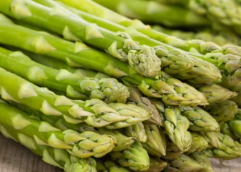 Peut-on donner des asperges à un chien