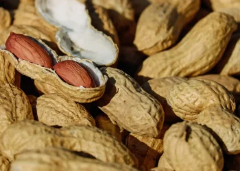 Peut-on donner des cacahuètes aux chiens