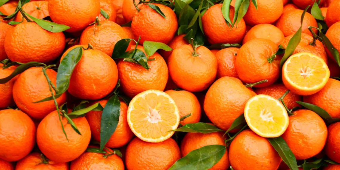 Peut-on donner des clémentines à son chien