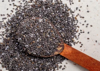 Peut-on donner des graines de chia aux chiens