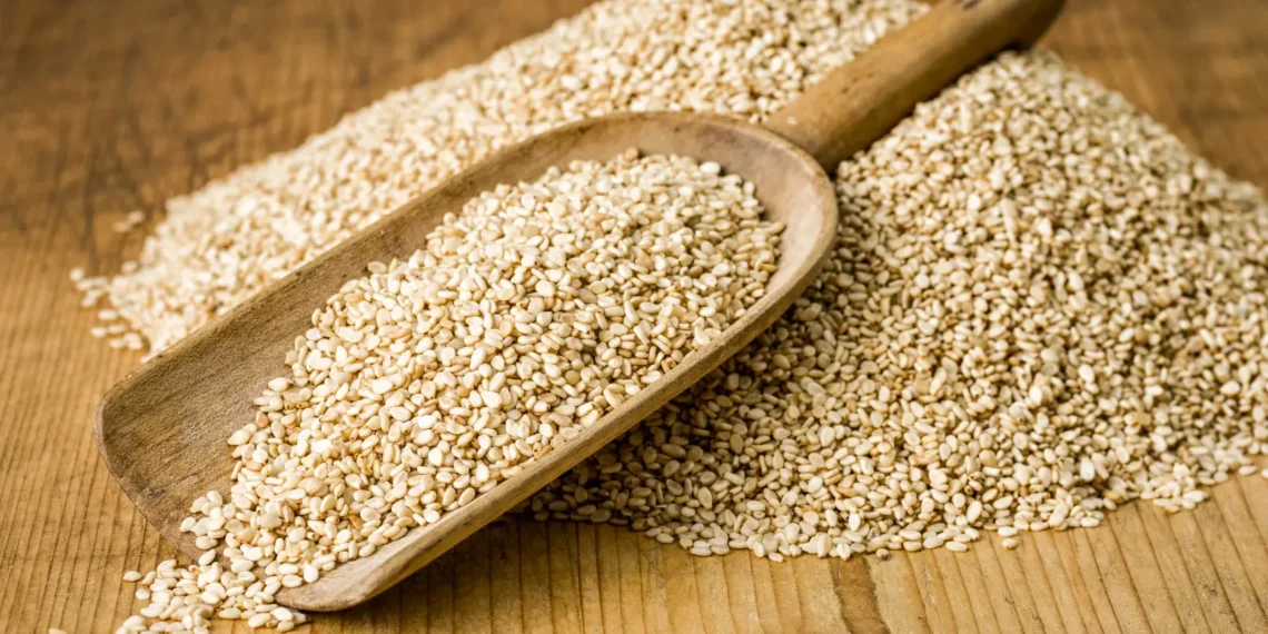 Peut-on donner des graines de sésame aux chiens