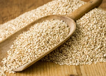 Peut-on donner des graines de sésame aux chiens