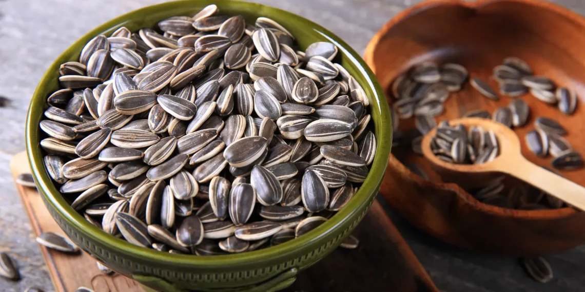 Peut-on donner des graines de tournesol à un chien
