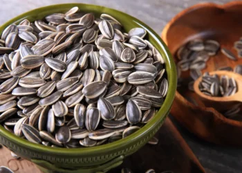 Peut-on donner des graines de tournesol à un chien