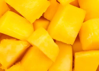 Peut-on donner des mangues à un chien