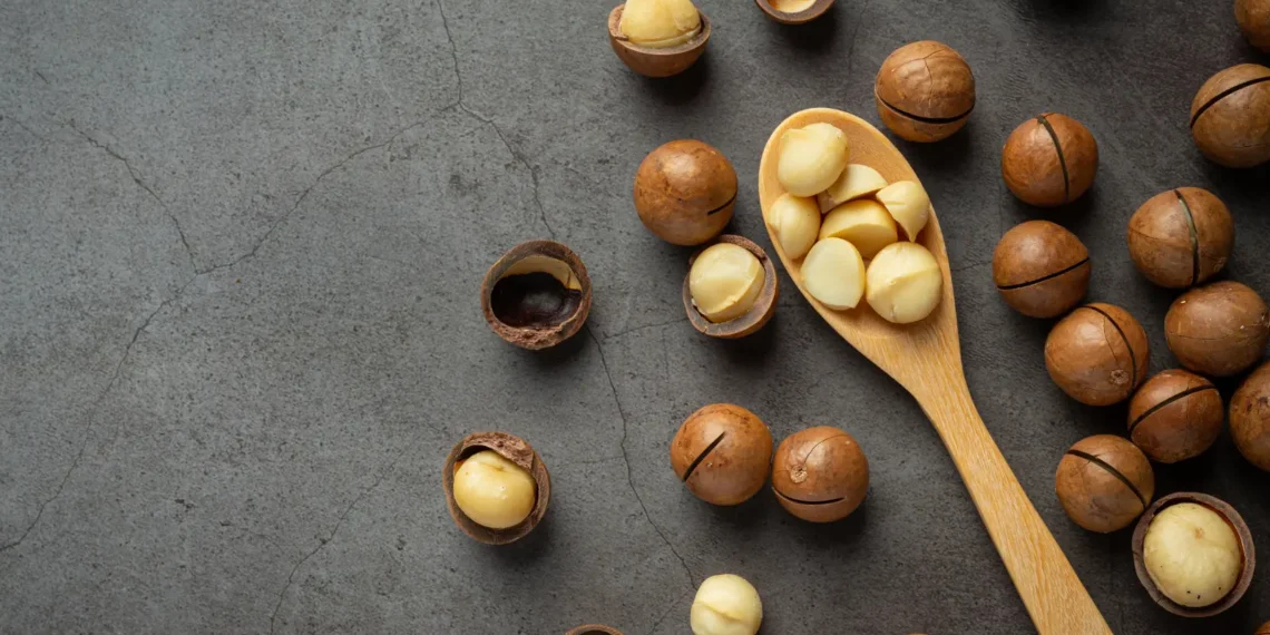 Peut-on donner des noix de macadamia aux chiens