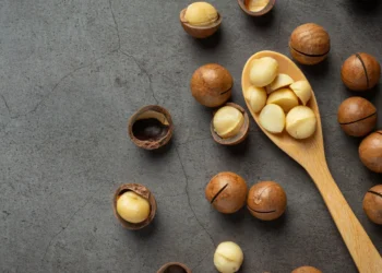 Peut-on donner des noix de macadamia aux chiens